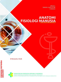 Image of Anatomi dan Fisiologi Manusia Komprehensif
